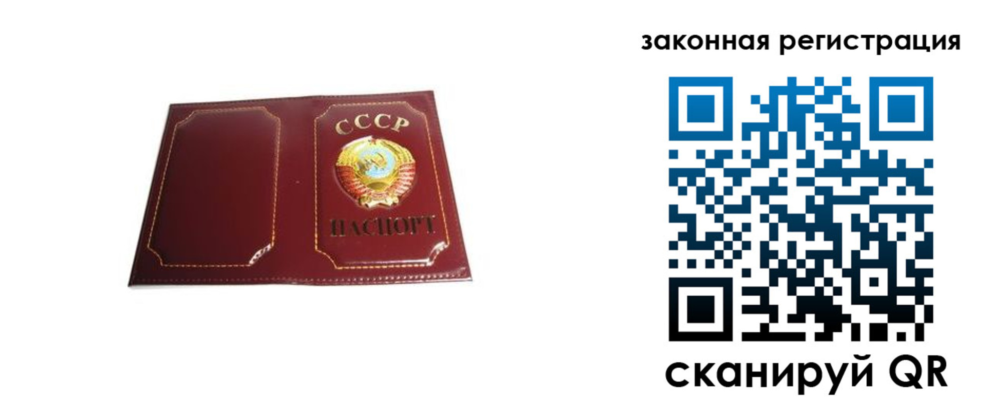 прописка поиск в Клинцах